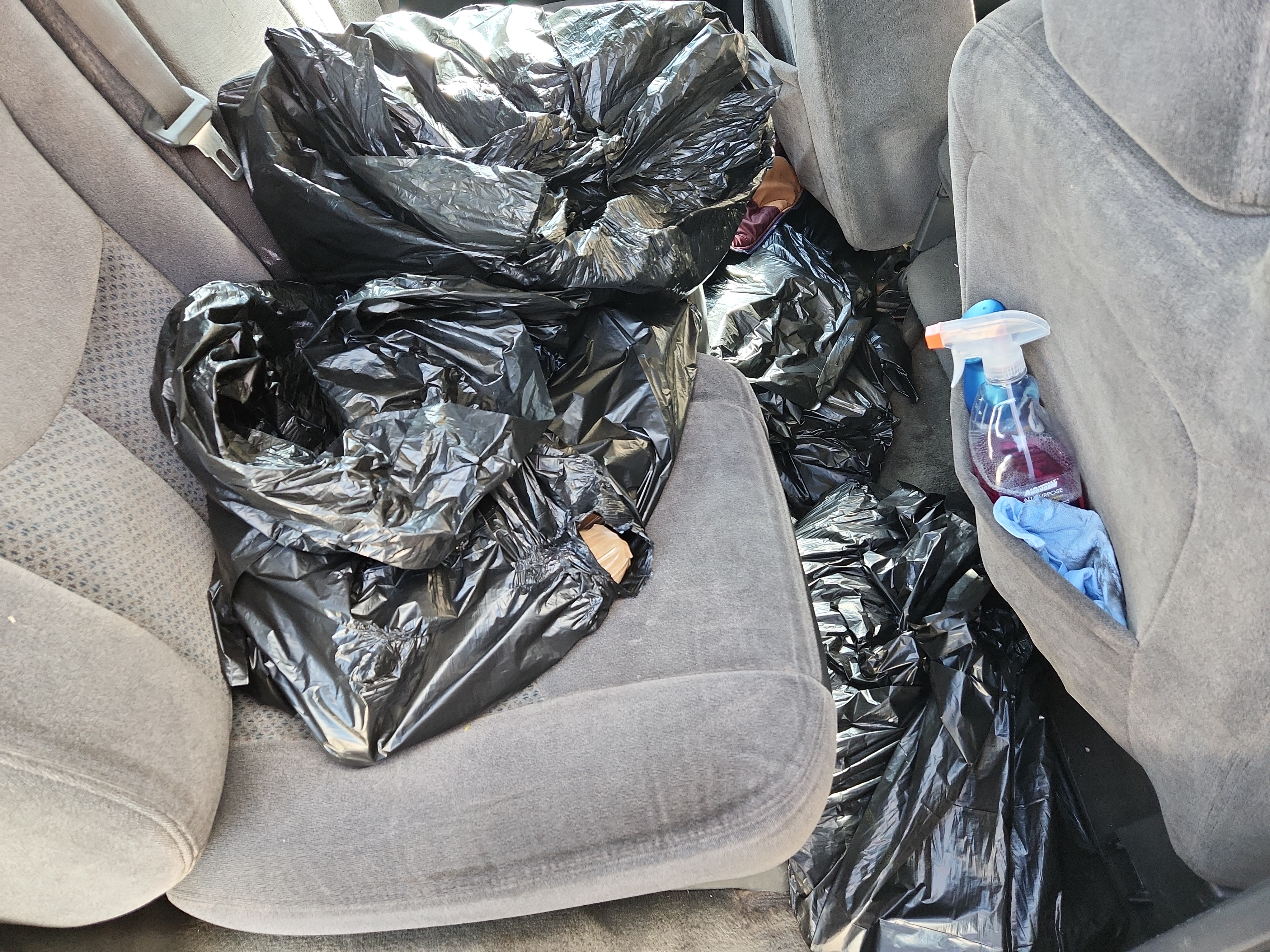 Black plastic bags in the back seat of a vehicle