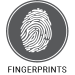 Fingerprints Icon
