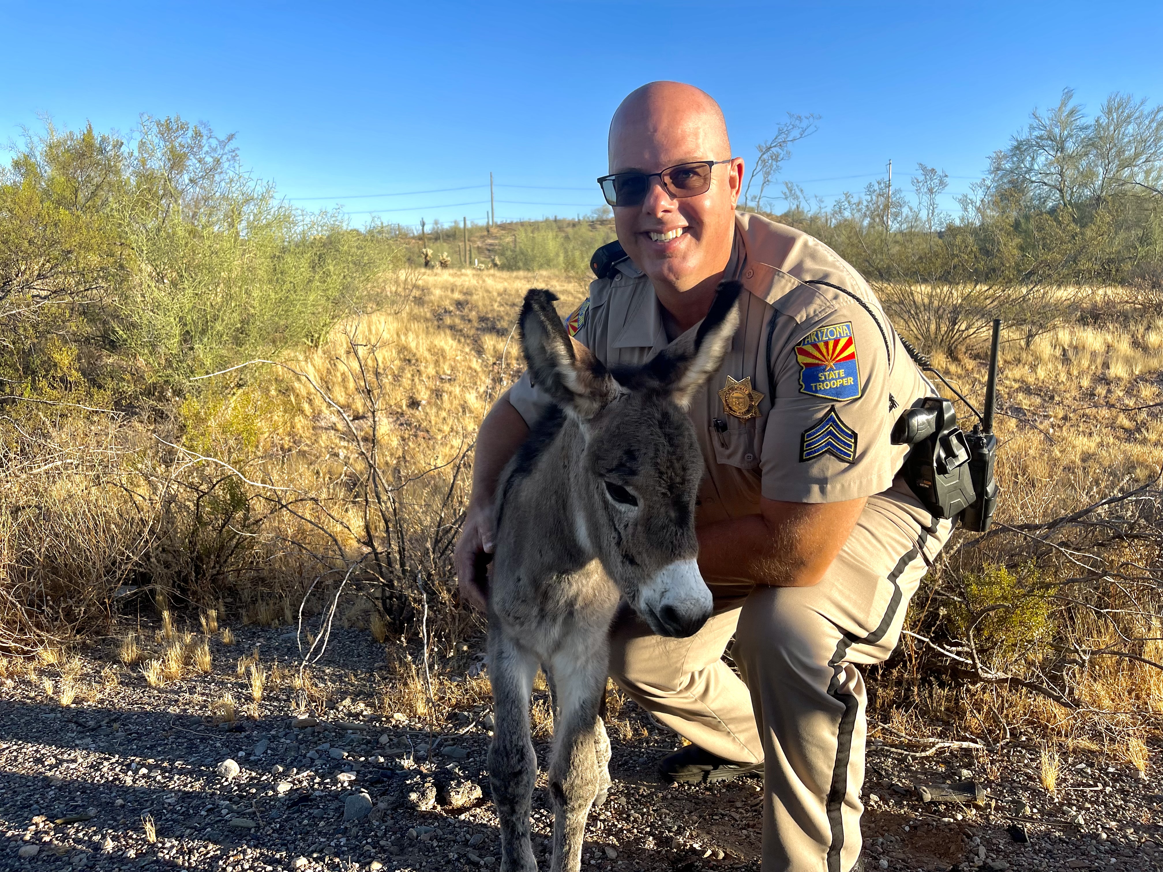 Baby burro with Sgt. Hansen