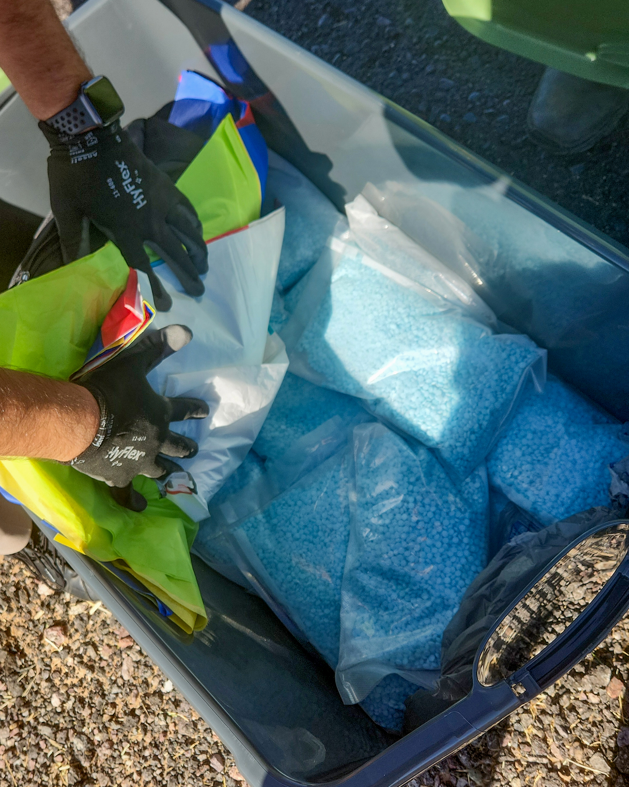 Plastic bags of blue pills in a plastic storage container