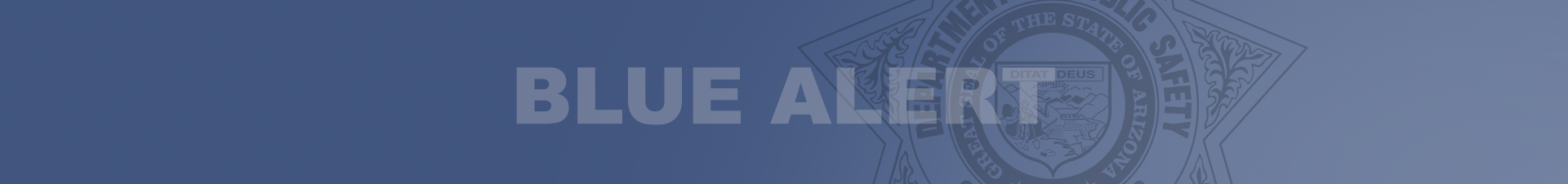 Blue Alert Banner