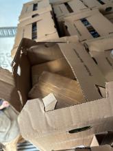 Drug packages concealed in cardboard boxes