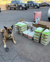 An AZDPS K9 pictured next to meth bundles