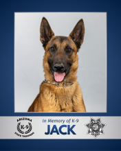 A photo of AZDPS K-9 Jack, a brown and tan Belgian Malinois. Jack is posed sitting with his ears up and his tongue out. The image is displayed over a dark blue background with a silver banner below that displaying an AZDPS K-9 logo and an AZDPS badge. It reads "In memory of K-9 Jack".