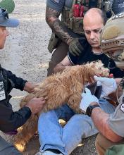 A man lies on the ground as a small tan dog crawls onto his lap and an AZDPS medic attends to him. 