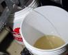 Close-up photo of an amber-colored liquid draining from a trailer rail into a white five-gallon bucket.